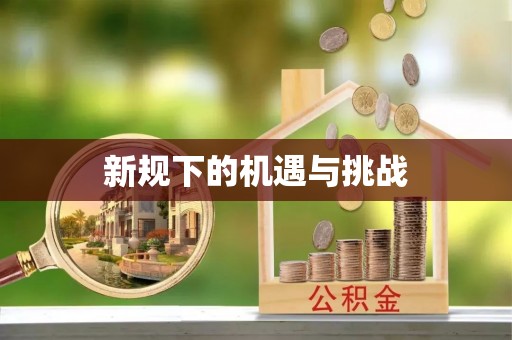 七堵新规下的机遇与挑战
