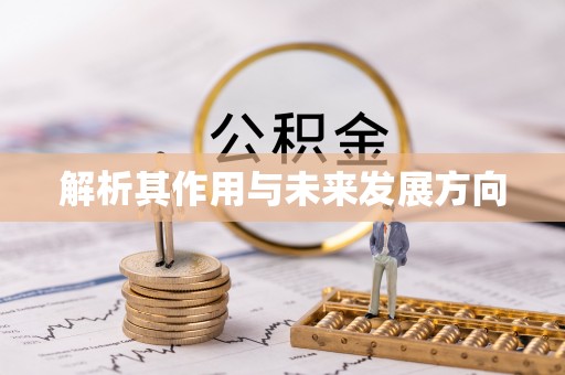 七堵解析其作用与未来发展方向